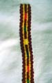 ingrészlet