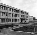 iskola
