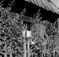 hĂĄzablak