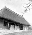 ház