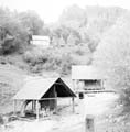 aranyzúzók