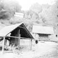 aranyzúzók