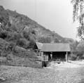 aranyzúzók