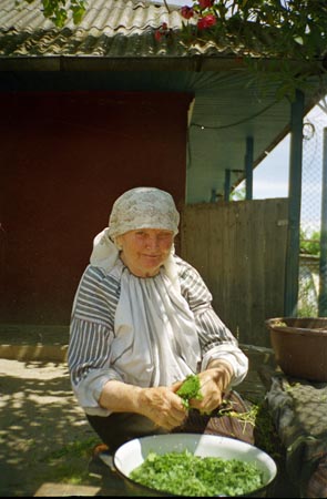 petrezselyempucolĂĄs