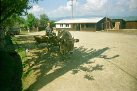 ökrösszekér