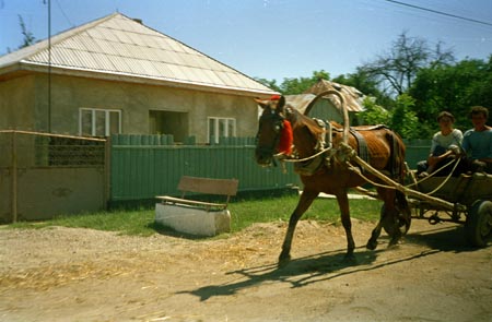moldvai hám
