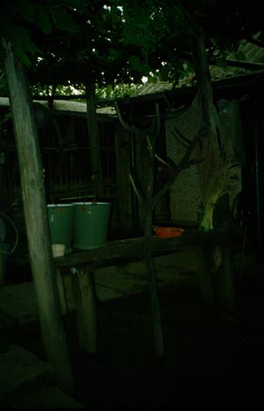 ágasfa