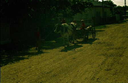 szekér