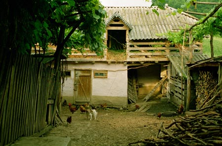 gazdasági udvar