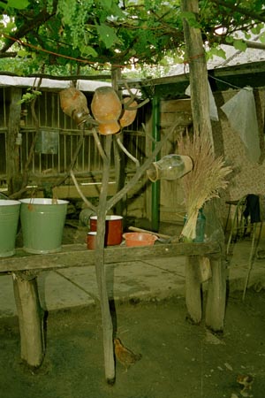 ágasfa