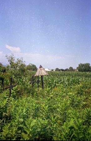 temető-részlet