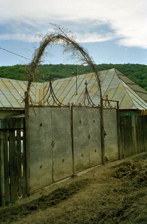 kapu