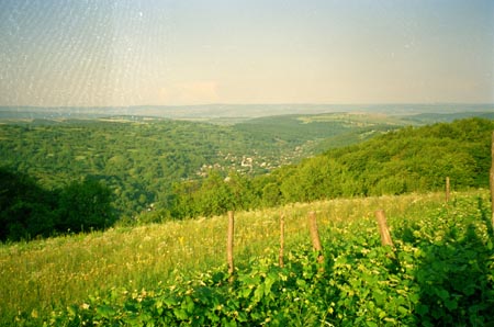 látkép