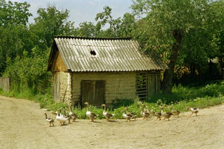pálinkafőzde