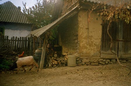 gazdasági épület