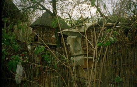 tyúkketrecek