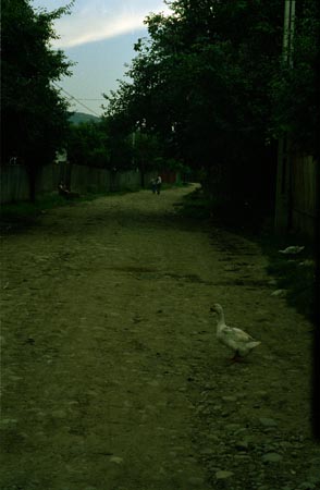 utcarészlet