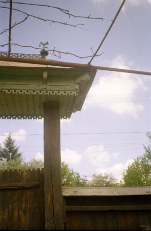 kapucsúcsdísz