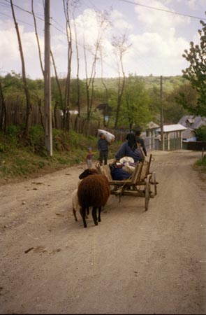 szekér