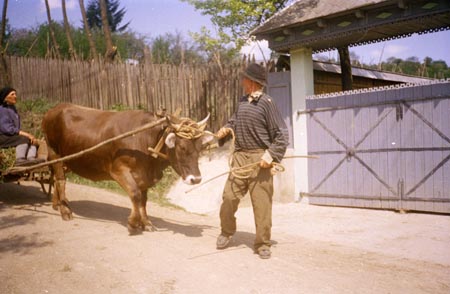 ökrösszekér