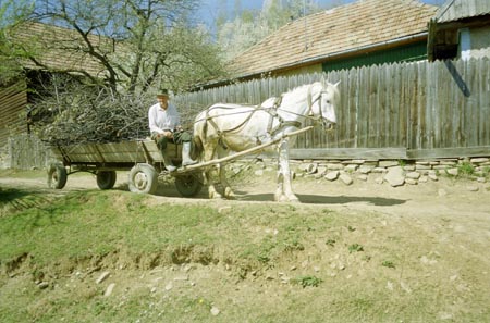 lovasszekér
