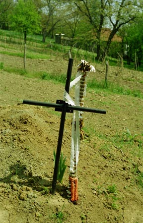 virágos pálca