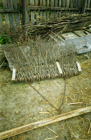tövisborona