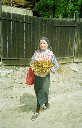 idős asszony