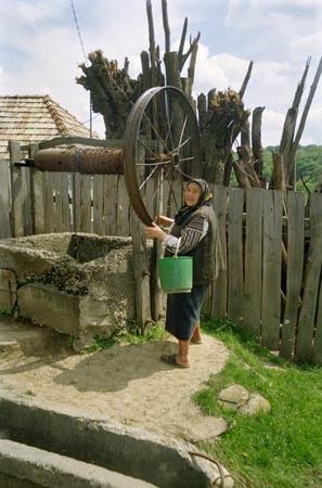 idős asszony