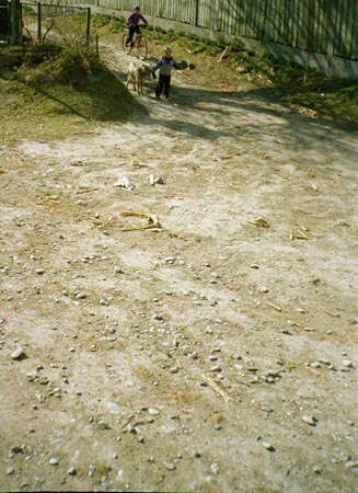 gyerekek 