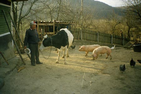 kúrálás