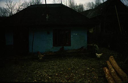 egysejtű lakóház