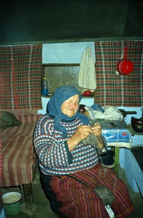 öregasszony