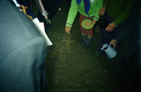 búzahintés