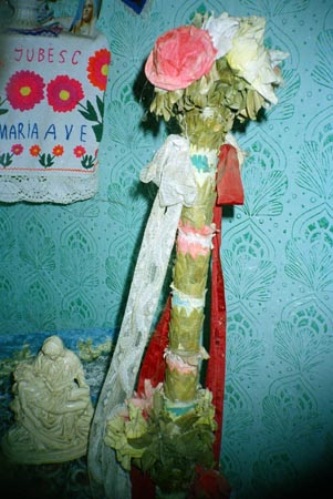 virágospálca