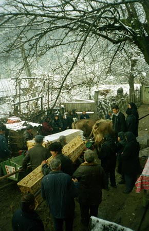temetési menet