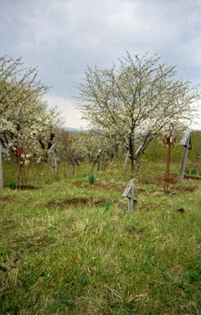 temetőrészlet