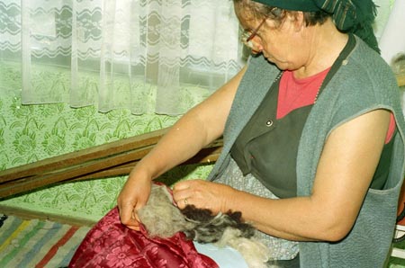 paplanvarrás