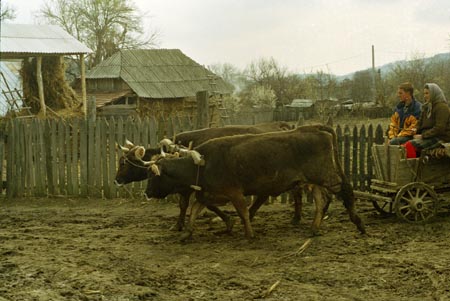 ökrösszekér