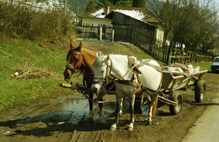 húsvét vasárnap