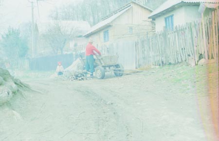 szőlőkaró szállítása
