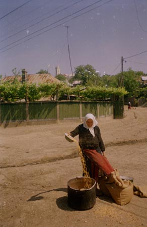 gabonatisztítás