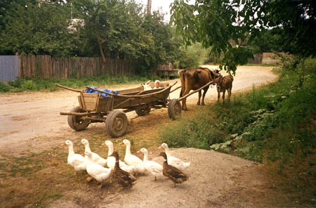 szekér