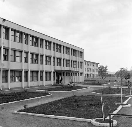 iskola