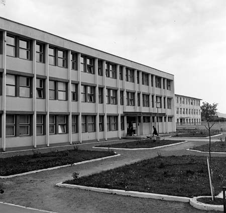 iskola