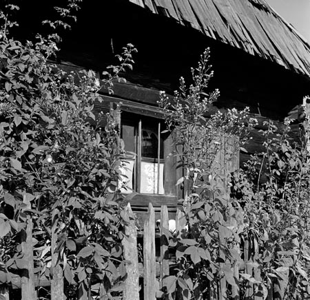 házablak