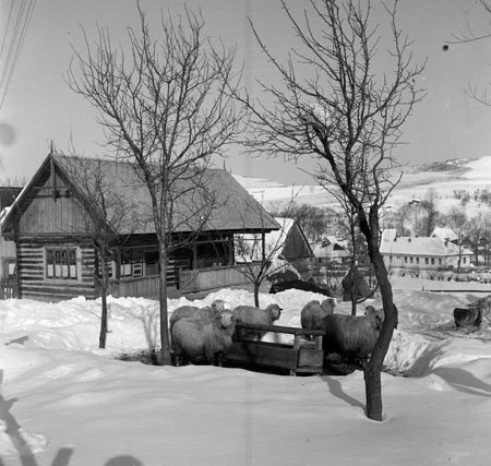 gazdaság
