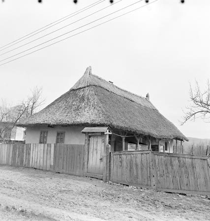 ház