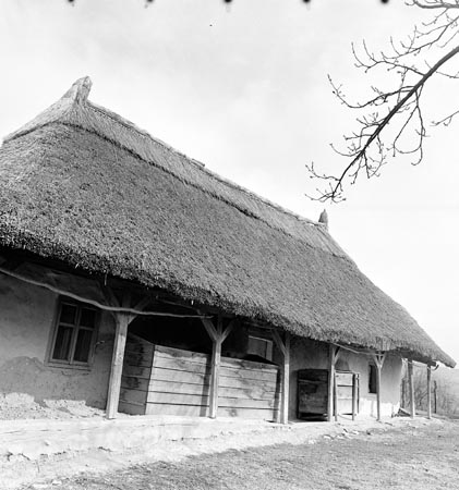 ház