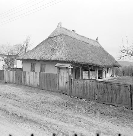 ház